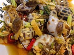 -长平老姿娘夜粥(平东一街店)