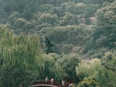 -华清宫景区