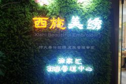 -西施无菌半永久纹绣眉眼影唇轻增发纹发际线