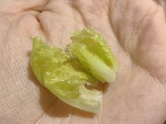 -林真真牛肋条放题(天马店)