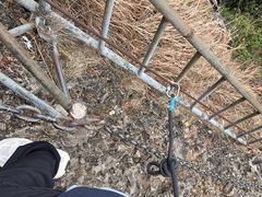 -七仙岭温泉国家森林公园