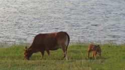 -纪可婚纱摄影平潭旅拍