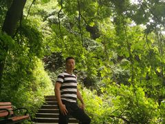 -太平万花山景区