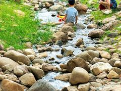 -白塘生态植物园