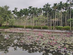 -红色娘子军纪念园