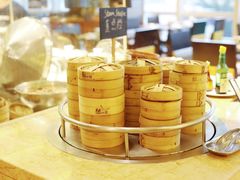 -大中华希尔顿酒店-念自助餐·嗨啤·小龙虾
