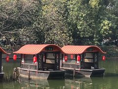 -侨美·唐荔园·40年地道粤菜