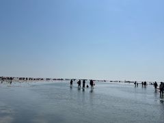 -红树林天天赶海