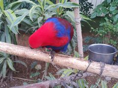 -南宫五洲植物乐园