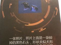 -剧狐剧本杀·月球探案馆(人民广场1号店)