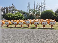 -上海长兴岛郊野公园