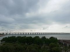 -宝安西湾红树林湿地公园