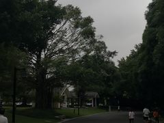 -南宁南湖公园