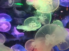 -太平洋海底世界