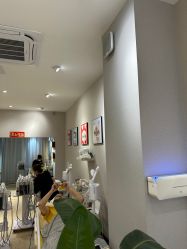 -洗脸猫·洗脸吧