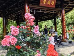 -东湖落雁景区
