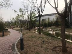-北京国家会计学院