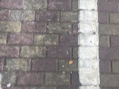 -白沙门生态公园
