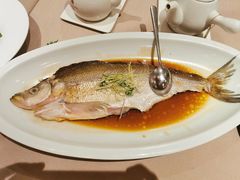 -尚一汤 广东炖汤(金桥国际店)