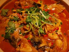 千岛湖有机胖头鱼-魏铭鱼头捞饭(晋阳路店)