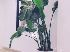 -PETIT PARIS 小巴黎(凯德1818店)