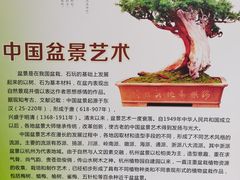 -杭州植物园