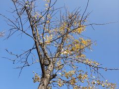 -太湖湖滨国家湿地公园-停车场