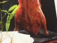 -南京悦客假日酒店