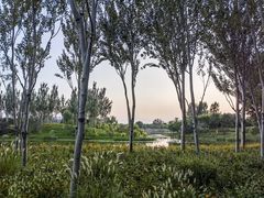 -东郊湿地公园