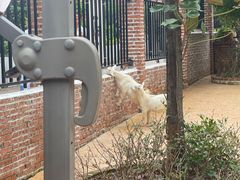 -云间粮仓