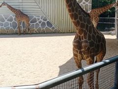 -泉州海丝野生动物世界