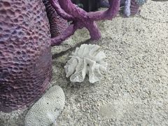 -中国第四纪冰川遗迹陈列馆