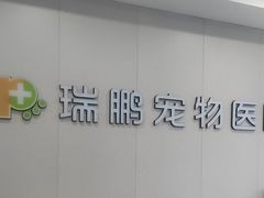 -瑞鹏宠物医院·骨科·猫科·内科(第一中心)
