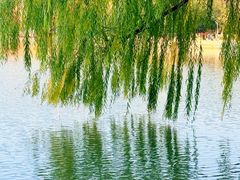 -浙江农林大学(东湖校区)