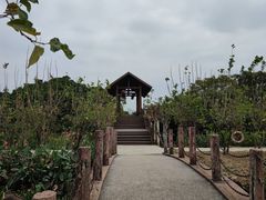 -海上田园