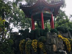 -莲湖公园