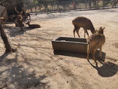 -祥源·阜阳生态乐园