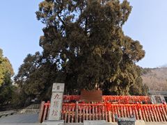 -四门塔风景区