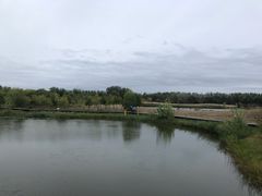 -东郊湿地公园