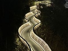 -福道