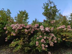 -丹东天桥沟景区