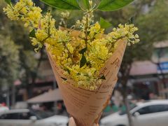 -via coffee(万象城店)