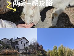 -石塘人家