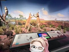 -陕西自然博物馆