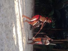 CURRUMBIN&nbsp;&nbsp;WILDLIFE&nbsp;SANCTUARY-可伦宾野生动物保护区