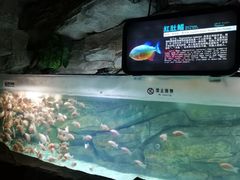 -泉城欧乐堡海洋极地世界