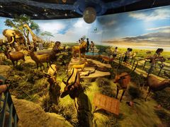 -陕西自然博物馆