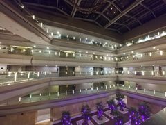 -南京禄口机场雅高铂尔曼大酒店