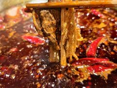 -大龙火锅(老店)