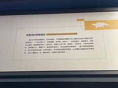 -湖南省地质博物馆